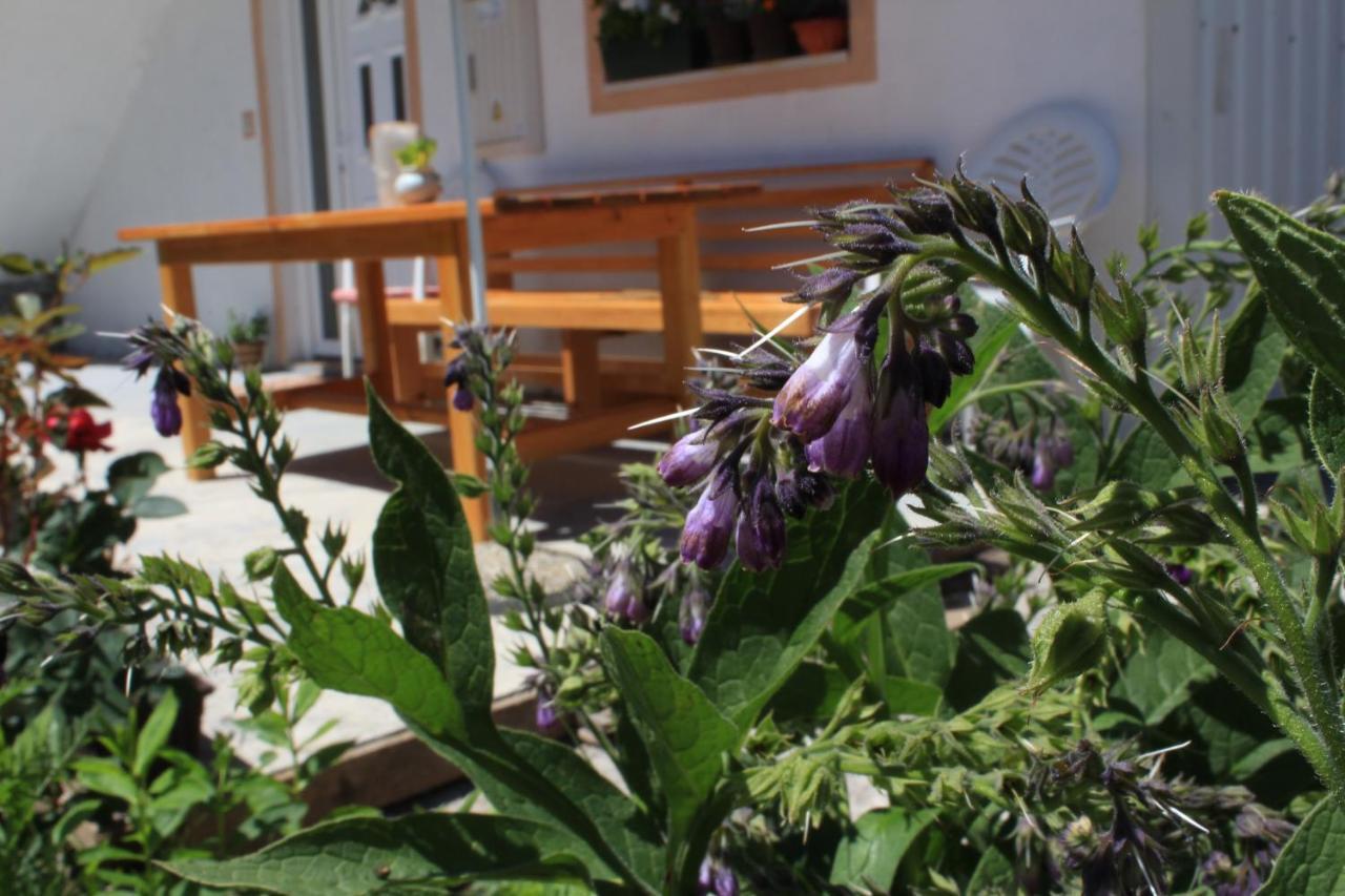 Apartment Mountain Dream Zabljak  Luaran gambar