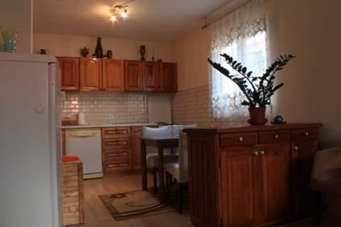 Apartment Mountain Dream Zabljak  Luaran gambar